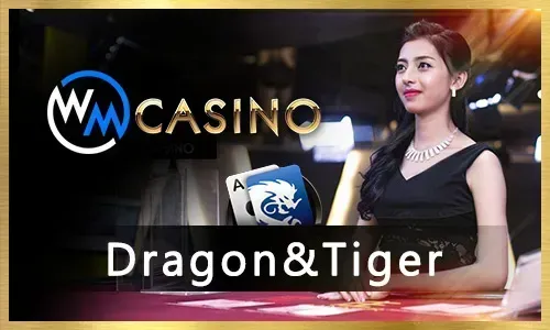 Evolution Gaming Live sz777